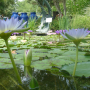 pond-build pond-build