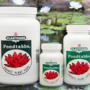 pondtabbs-aquatic-fertilizer