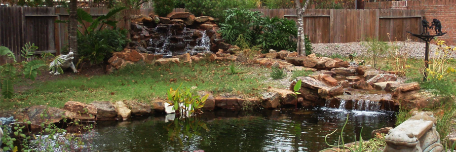 Streaming Pond