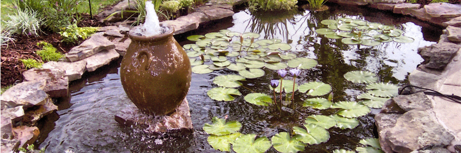Nelson Water Gardens and Nursery | Disappearing fountains ...