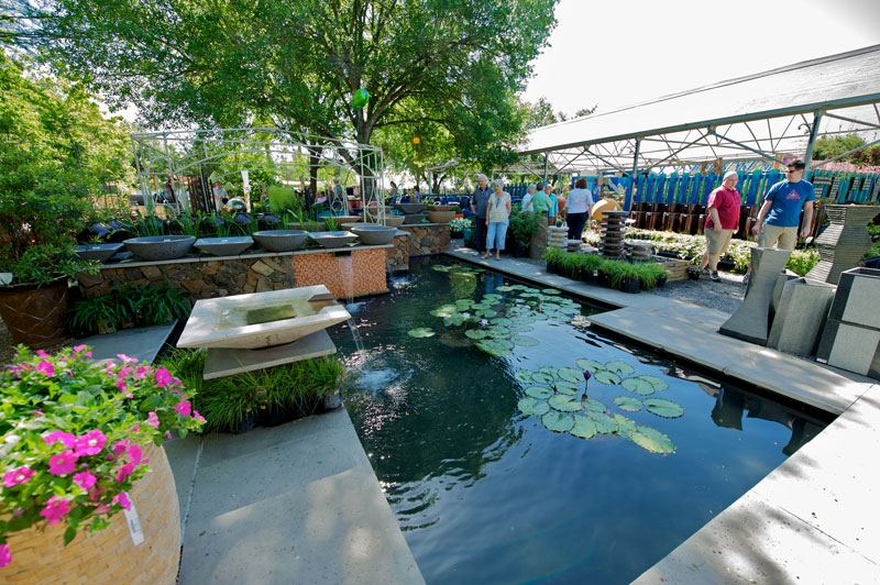 DF_Slides Archives Nelson Water Gardens and Nursery