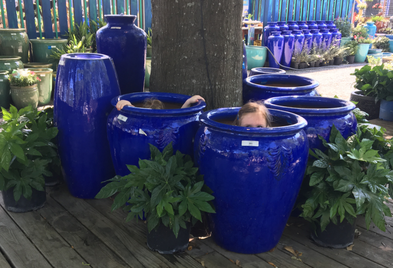 Pottery in Houston, TX Nelson Water Gardens and Nursery