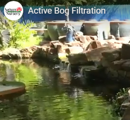 Active Bog Filtration Hack Video Nelson Water Gardens And Nursery